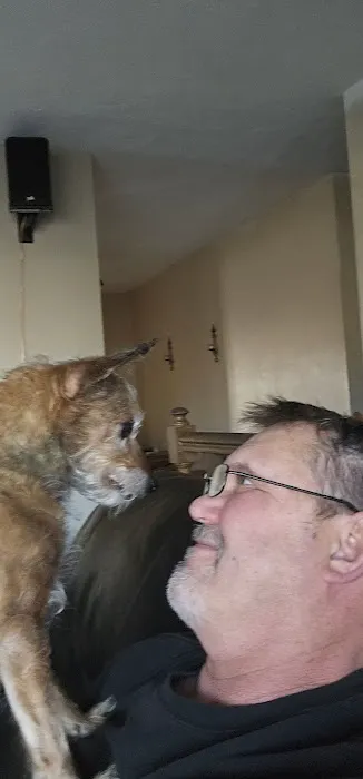 Cross Creek Animal Health Center Picture 1