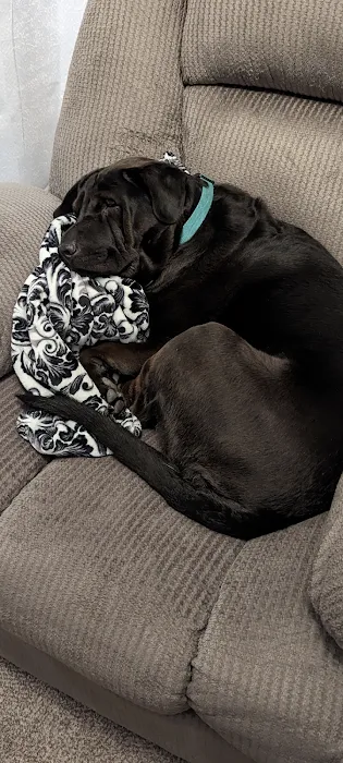 Cross Creek Animal Health Center Picture 4