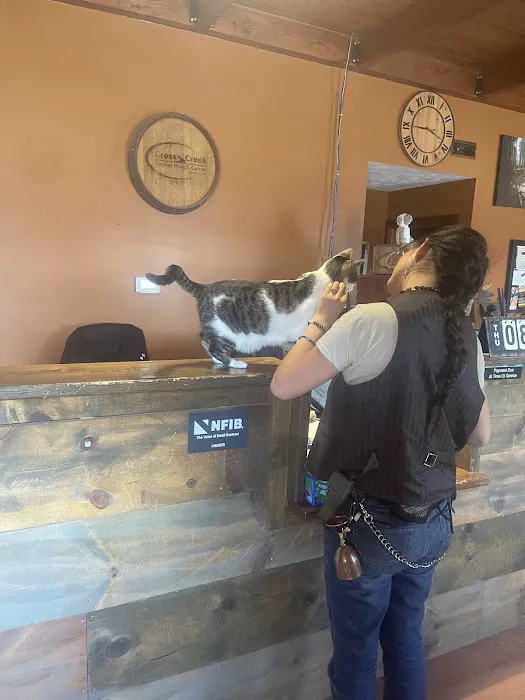 Cross Creek Animal Health Center Picture 2