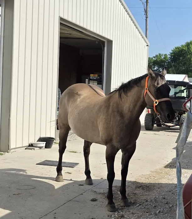 Cross Creek Animal Health Center Picture 5