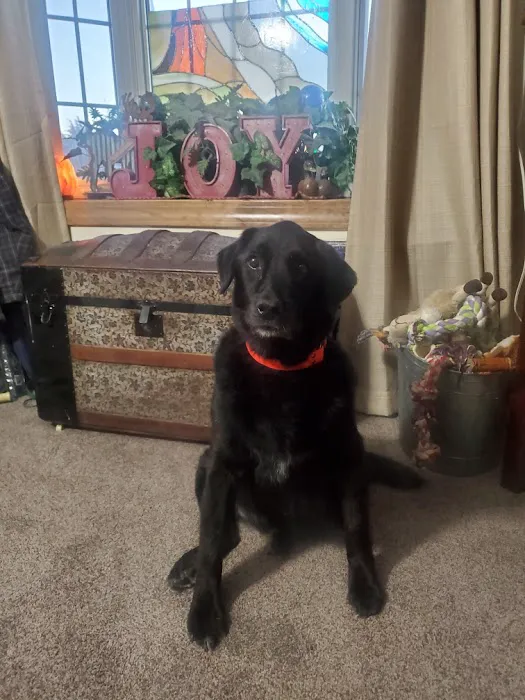 Cross Creek Animal Health Center Picture 7