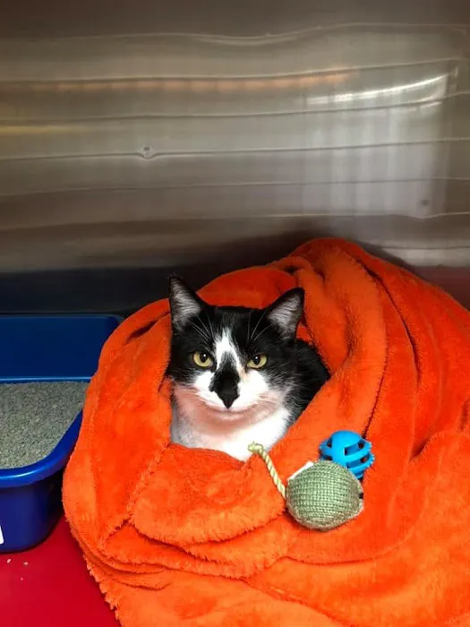 Jacobson Veterinary Clinic Picture 2