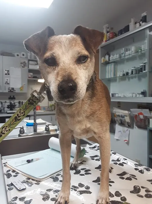 Jacobson Veterinary Clinic Picture 5