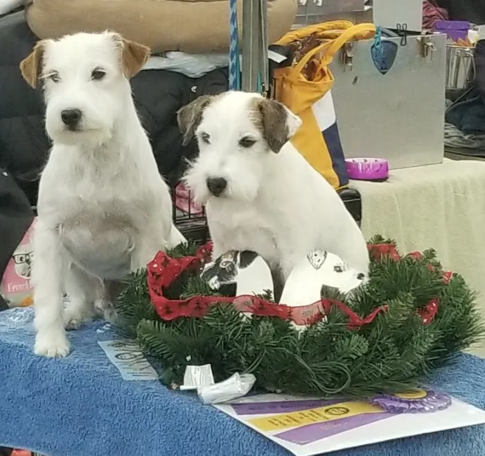 Jacobson Veterinary Clinic Picture 6