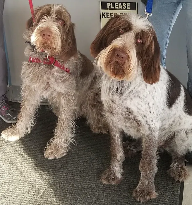 Jacobson Veterinary Clinic Picture 8