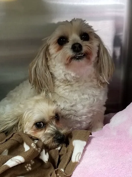 Jacobson Veterinary Clinic Picture 7