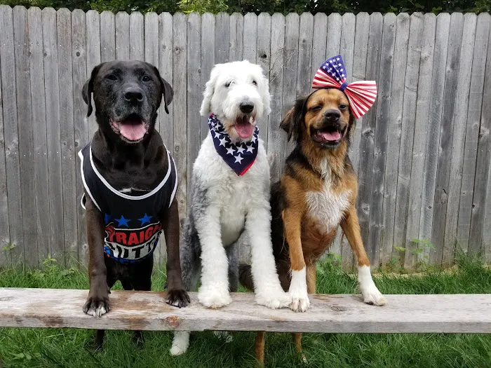 Jacobson Veterinary Clinic Picture 9