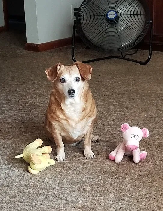 Cotner Pet Care Picture 2