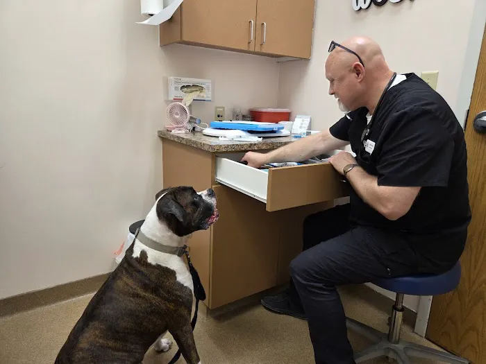 Cotner Pet Care Picture 7