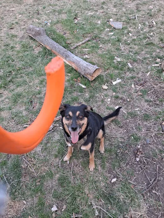 Wachal Pet Health Center Picture 3