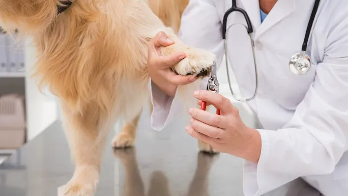 Wachal Pet Health Center Picture 5