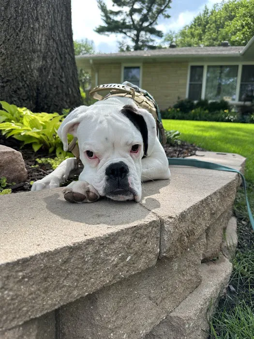 A-4 Animal Hospital Picture 1