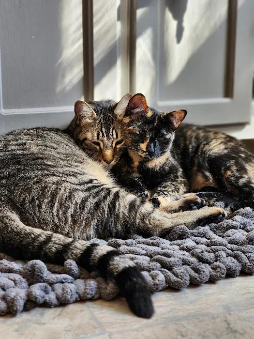 A-4 Animal Hospital Picture 4