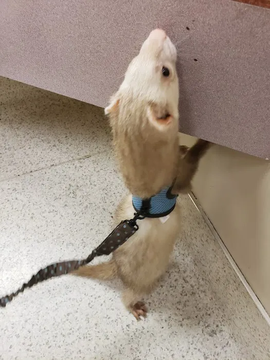 A-4 Animal Hospital Picture 3