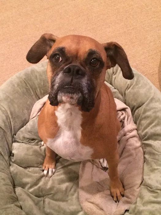 A-4 Animal Hospital Picture 2