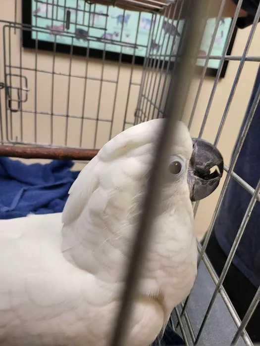 A-4 Animal Hospital Picture 5