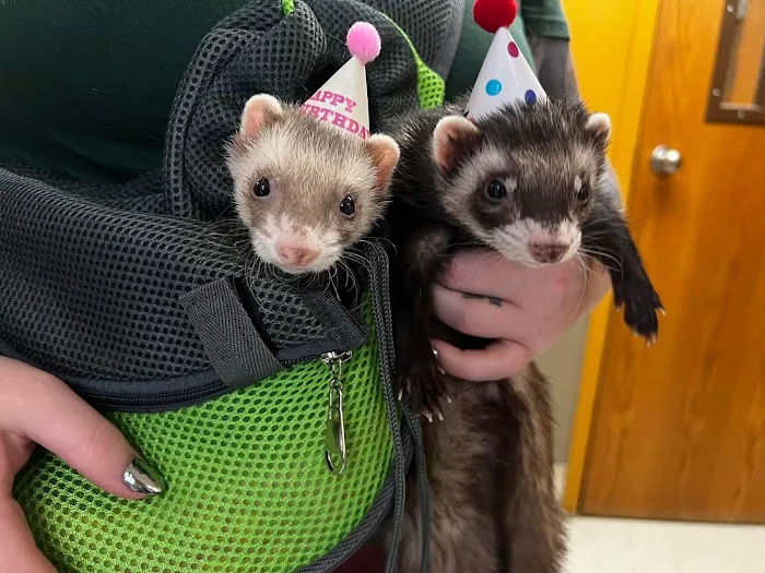 A-4 Animal Hospital Picture 10