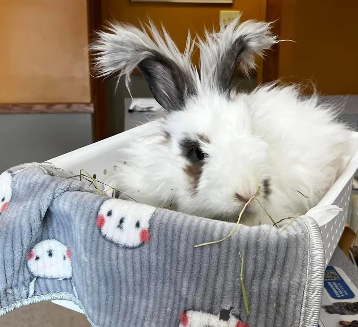 A-4 Animal Hospital Picture 8