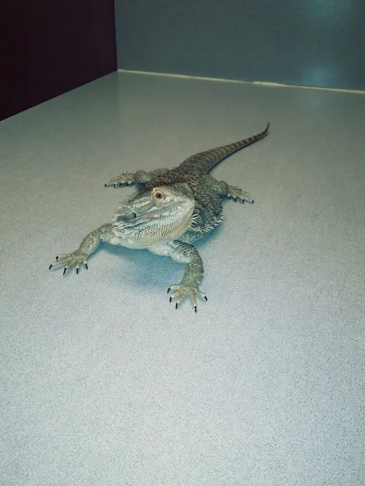 A-4 Animal Hospital Picture 6