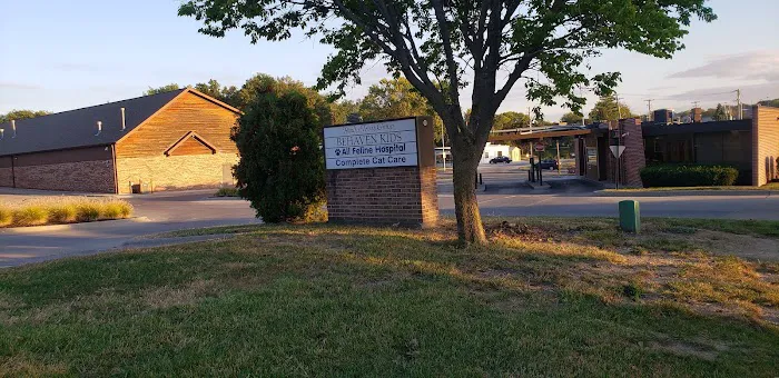 All Feline Hospital Picture 2