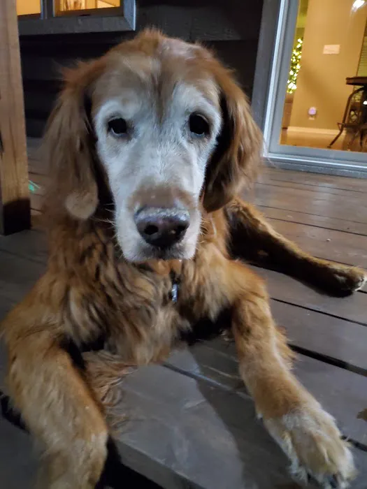 Companion Care Veterinary Clinic Picture 2