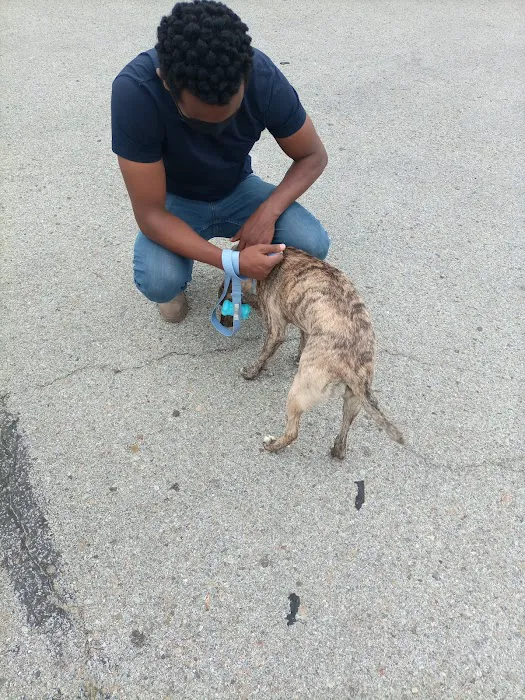 Companion Care Veterinary Clinic Picture 6