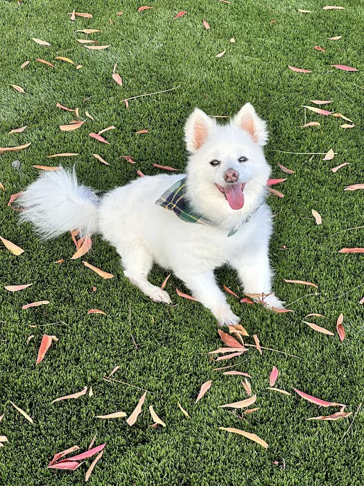 Companion Care Veterinary Clinic Picture 5