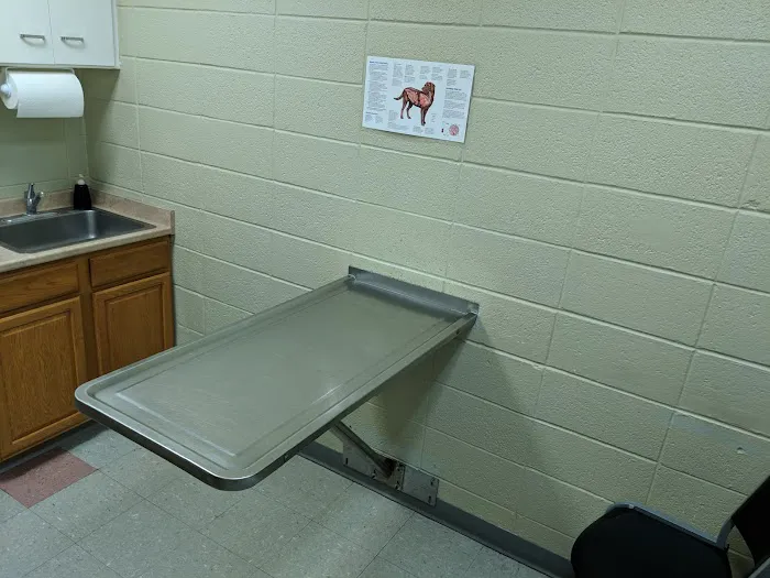 Companion Care Veterinary Clinic Picture 9