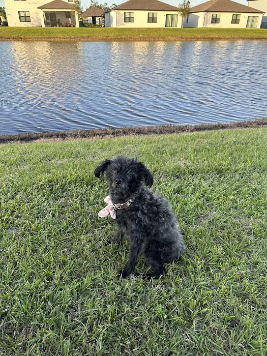 Vondra Veterinary Clinic Picture 2