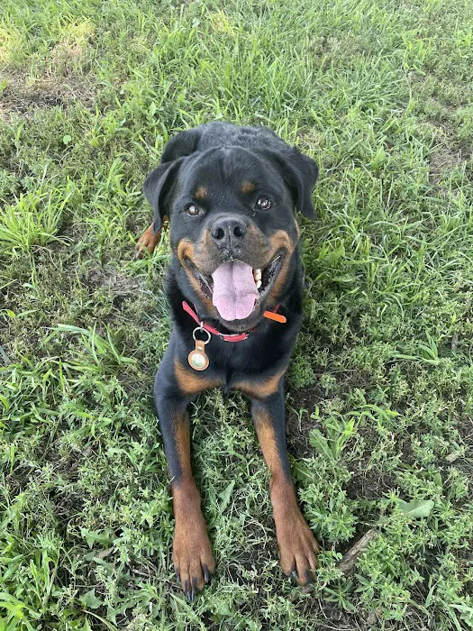 Vondra Veterinary Clinic Picture 3