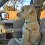 Vondra Veterinary Clinic