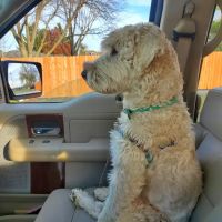 Vondra Veterinary Clinic ico