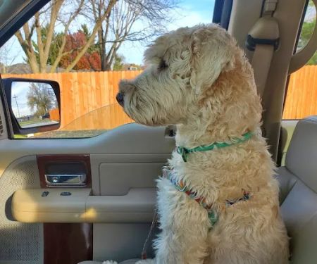 Vondra Veterinary Clinic