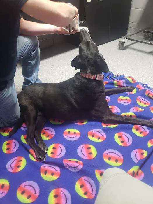 Vondra Veterinary Clinic Picture 4