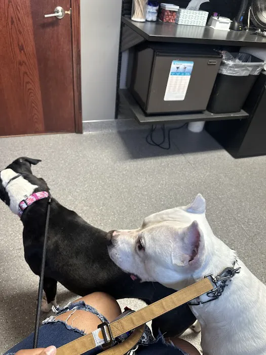 Vondra Veterinary Clinic Picture 5