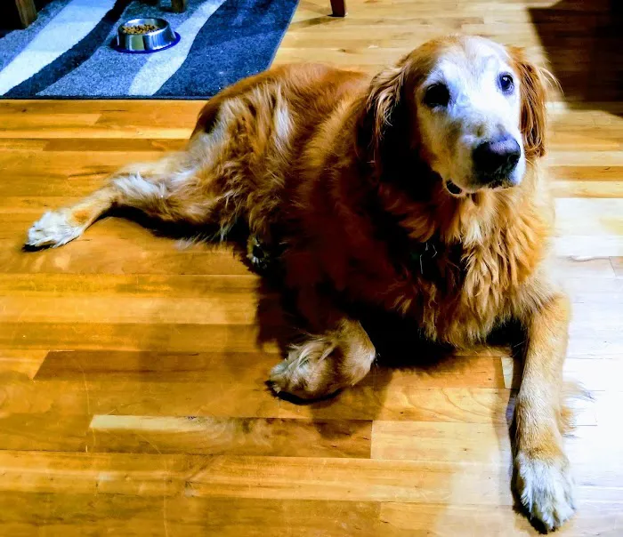 Vondra Veterinary Clinic Picture 6