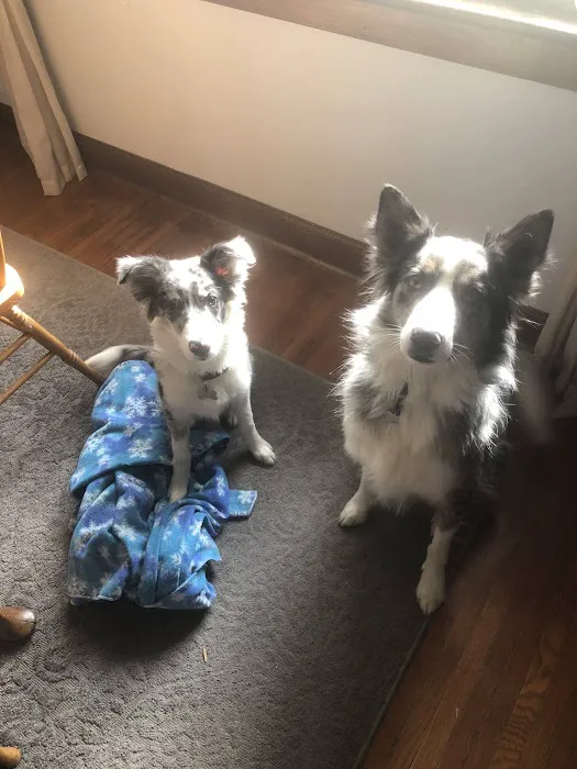 Vondra Veterinary Clinic Picture 9