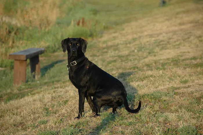 Vondra Veterinary Clinic Picture 8