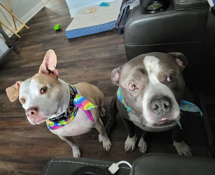 Vondra Veterinary Clinic Picture 7