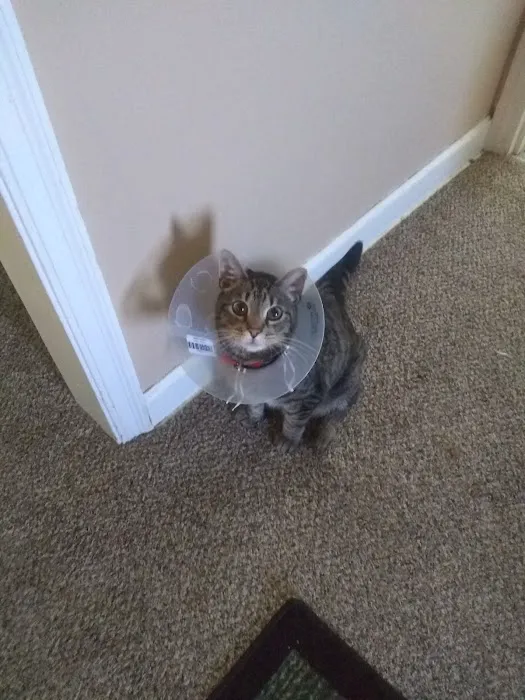 Red Barn Veterinary Clinic Picture 1