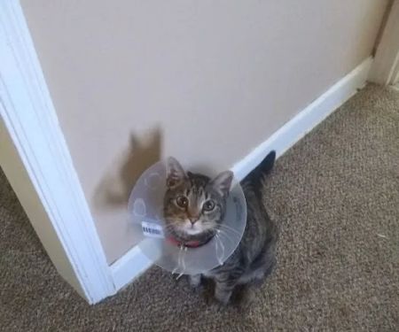 Red Barn Veterinary Clinic