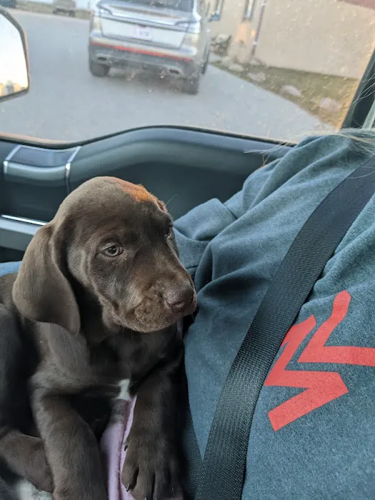 Red Barn Veterinary Clinic Picture 3