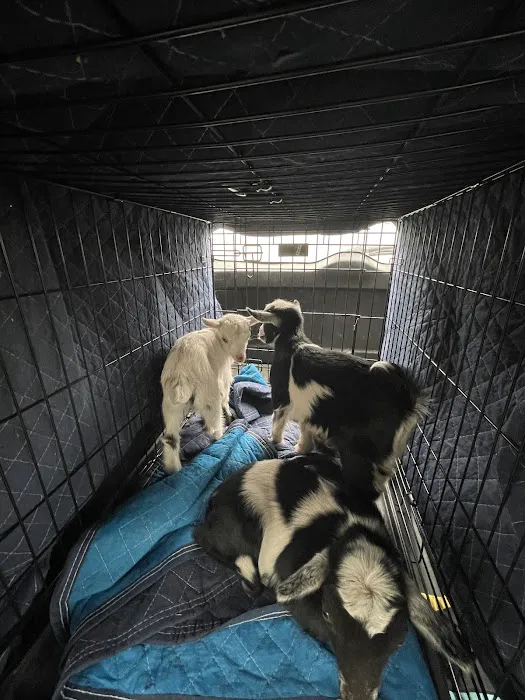 Red Barn Veterinary Clinic Picture 4