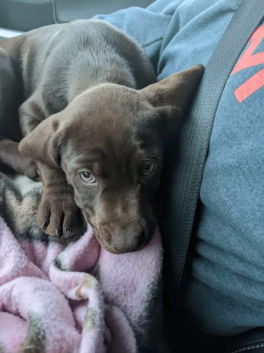 Red Barn Veterinary Clinic Picture 9