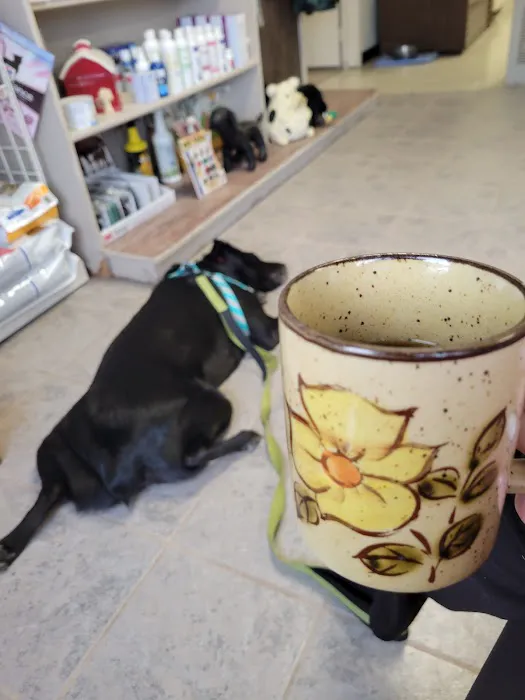 Red Barn Veterinary Clinic Picture 8