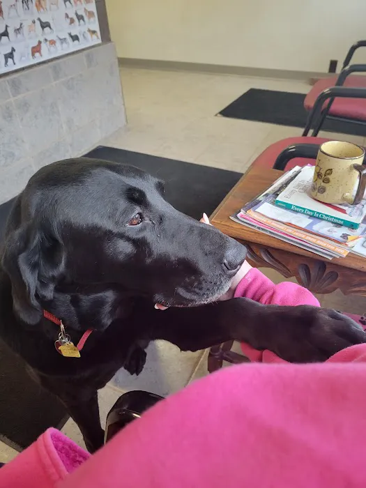 Red Barn Veterinary Clinic Picture 10
