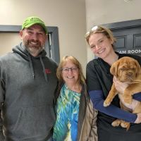 Cedar County Veterinary Services ico