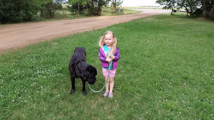 Windhorse Veterinary Clinic Picture 2