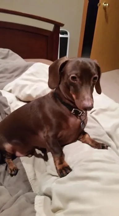 Windhorse Veterinary Clinic Picture 4