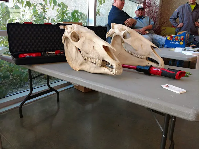 Windhorse Veterinary Clinic Picture 5